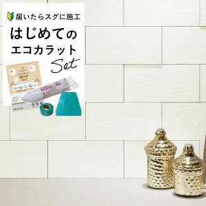 yő8000~OFFN[|ӍՁz GRJbgvX NV @XbN ECOCARAT yS҂ȒPDIYz gC ֕ ʏ ANZgǃZbg 6 ECP-315/VSR1N VSR2N VSR3N Ζڒ z