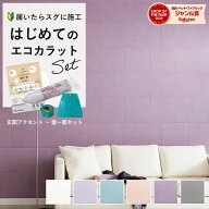 【最大8000円OFFクーポン★マラソン】 エコカラットプラス リクシル フェミーナ 【初心者も簡単DIY】 玄…
