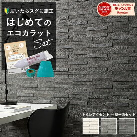 リクシル エコカラット INAX エコカラットプラス ECOCARAT ルドラ NX【初心者も簡単DIY】 トイレ 玄関壁 洗面所 アクセント壁セット 6畳壁 ECP‐2515NET/LDN1 LDN2 LDN3 ホワイト グレー ダークグレー 石目調 モノトーン 壁