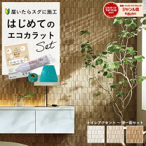 楽天市場】ラフソーン エコカラットプラスの通販 