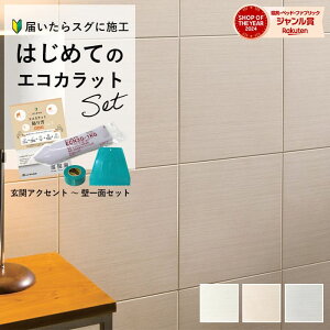 yő8000~OFFN[|ӍՁz GRJbg vX LIXIL ECOCARAT VN[lyS҂ȒPDIYz ֕ 6 ANZg ECP-303/SLA1N SLA2N SLA3N  zCg x[W O[ ʏ yb