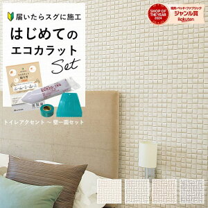 NV GRJbgvX INAX GRJbg ECPCARAT B[ yS҂ȒPDIYz gC ֕ ʏ ANZgǃZbg 6 ECP-30NET/WE1 WE2 WE3 WE4  diy  zCg AC{[ x