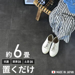 tA^C u RN[g 6 tA[^C 5P[X 40Zbg R ڒܕsv ͂ߍݕsv ~߉H u tA^C r^C  Ζ O[ C_Xg