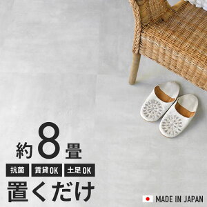 tA^C u 8 RN[g ^ 7P[X 56Zbg R ڒܕsv ͂ߍ݂sv ~߉H {ɒũtA^C r^C  Ζ O[ C_