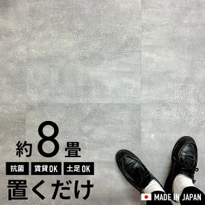 tA^C u 8 RN[g ^ 7P[X 56Zbg R ڒܕsv ͂ߍ݂sv ~߉H {ɒũtA^C r^C  Ζ O[ C_