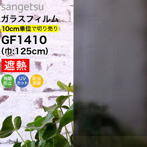 KXtB  TQc NAX GF1410 125cm X`[Vh[20 ˒tB X[N ډBtB vCoV[ی ptB ՔMV[g fMV[g UVJbg OJ
