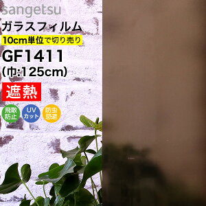 KXtB  TQc NAX GF1411 125cm X`[uY20 ˒tB X[N ډBtB vCoV[ی ptB ՔMtB fMtBUVJbg O