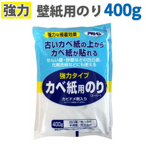 ̓^Cv ǎp̂ 400g ATqy