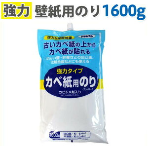 ̓^Cv ǎp̂ 1600g ATqy