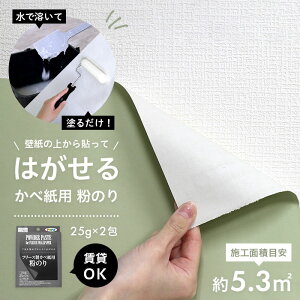 OKI n̕ǎ߂LCɂ͂ ǎp̂ 25g×2 {HʐϖڈF5.3 ATqy 񂽂 ͂镲̂ ꎞIȎ{H ݂̂ 񕜂S