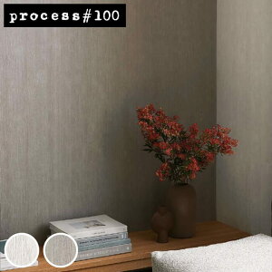 yő8000~N[|X[p[SALEz yǎ ̂t z ǎ ̂ zCg O[ k ؖڒ Ebh _ process#100  TQc FE-74284`FE-74285