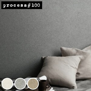 yő8000~OFFN[|}\z yǎ ̂t z ǎ ̂ zCg O[ C_XgA process#100  u[O[ X[L[ ݃J[ hڒ X^bR TQc FE