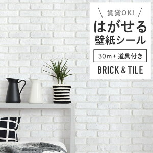 ǎ V[ K  zCg ubN O[ TuEFC^C  ubN \Ă͂  DIY Vr[VbN gC ʏ h~ ݂łOK ȒP tH[ ǎV