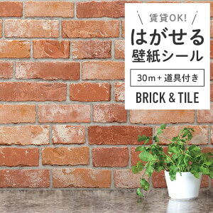 ǎ V[ K  zCg ubN O[ TuEFC^C  ubN \Ă͂  DIY Vr[VbN gC ʏ h~ ݂łOK ȒP tH[ ǎV