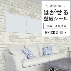 yő8000~OFFN[|BFz ǎ V[ K  zCg ubN O[ TuEFC^C  ubN \Ă͂  DIY Vr[VbN gC ʏ h~ 