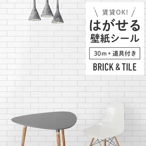 ǎ V[ K  zCg ubN O[ TuEFC^C  ubN \Ă͂  DIY Vr[VbN gC ʏ h~ ݂łOK ȒP tH[ ǎV