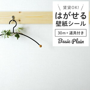 ǎ V[  n ݃J[ sN x_[ zCg O[ u[ F CNV[g ʏ \Ă͂ h~   DIY  ȒP ǎV[ ͂V[ 