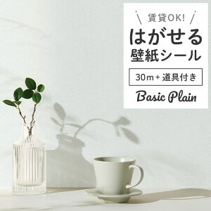 ǎ V[  n ݃J[ sN x_[ zCg O[ u[ F CNV[g ʏ \Ă͂ h~   DIY  ȒP ǎV[ ͂V[ 