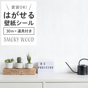 ǎ V[ X[L[ ؖ u[O[  lCr[ F  \Ă͂  lq DIY OK ؖڕ Ebh ȒP tH[ ǎV[ hA tH[ CNV[g 