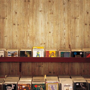 ǎ ̂Ȃ ؖ F NX  ǎ ؖڒ Ebh lC  _[NuE i` w{[ DIY tH[ Yǎ  jOCeA Be[W Ebh Íޕ 