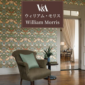 ǎ ̂t EBAEX X AeB[N NVbN [bp CMX tF~j GKX   D_ ԕ {^jJ  }[S[h sR DIY 