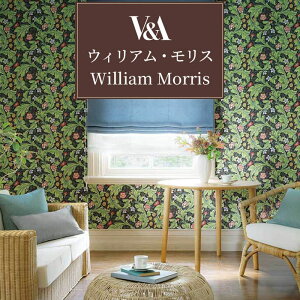 �ǎ� �̂�Ȃ� �E�B���A���E�����X �����X�� �A���e�B�[�N �N���V�b�N ���[���b�p�� �C�M���X �t�F�~�j�� �G���K���X ��l���q ������� �� �������D�_ �ԕ� �{�^�j�J�� �� �}���[�S�[���h 