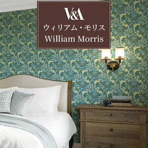 ǎ ̂Ȃ EBAEX X AeB[N NVbN [bp CMX tF~j GKX lq   D_ ԕ {^jJ  }[S[h 