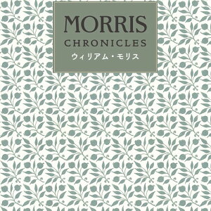 ǎ ̂Ȃ EBAEX X tF~j GKX lq  AeB[N NVbN CMX WX~ ԕ {^jJ  VJ X O[ R  sR D