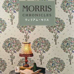 ǎ ̂Ȃ EBAEX X tF~j GKX lq  AeB[N NVbN CMX WX~ ԕ {^jJ  VJ X O[ R  sR D