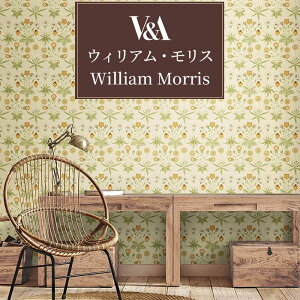 yő8000~OFFN[|BFz ǎ ̂Ȃ EBAEX X AeB[N NVbN CMX tF~j GKX lq  WX~ ԕ {^jJ f