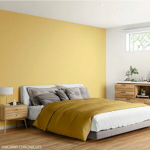 yő8000~OFFN[|XpZz ǎ ̂t CG[ F NX   IW eRb^ hڒ }X^[hCG[ gC ʏ RECX Dǎ Ζڒ LY