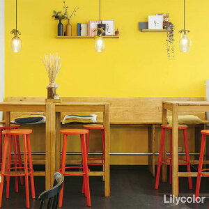 yő8000~OFFN[|}\z ǎ ̂t CG[ F NX   IW eRb^ hڒ }X^[hCG[ gC ʏ RECX Dǎ Ζڒ LY