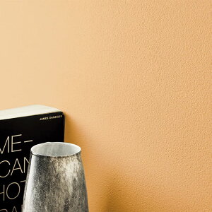 壁紙 のり付き アースカラー テラコッタ グリーン 無地 イエロー スモーキーグリーン 茶 スモーキー グレージュ 塗り壁調 おしゃれ 壁紙 茶 アクセントクロス 壁紙張り替え リフォーム 国産