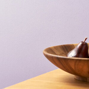 ǎ ̂Ȃ x_[ n  p[v NX  ǎւ LYɋ  R L G} \ʋ ݎ RECX Ζڒ D ނ炳 ݃sN ؍ DIY