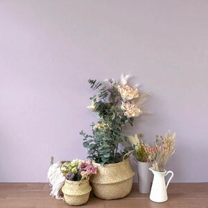 ǎ ̂Ȃ x_[ n  p[v NX  ǎւ LYɋ  R L G} \ʋ ݎ RECX Ζڒ D ނ炳 ݃sN ؍ DIY