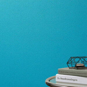 ǎ ̂Ȃ F XJCu[ n u[O[ ݃u[ GhO[  u[ Cgu[ R LYɋ h~ L  NX  ANZgNX DIY 