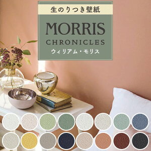 【最大8000円OFFクーポン★マラソン】 壁紙 のり付き ウィリアム・モリス 無地 白 ベージュ グリーン テラコッタ オレンジ イエロー ブルーグレー 赤 くすみカラー アースカラー ペンキ調 大