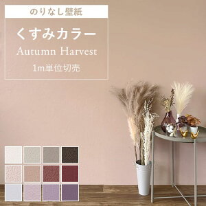 ǎ ̂Ȃ n NX ݃J[ sN O[W p[v uE x_[ X[L[ bh ؍ R  ANZg DIY  { ǎւ  tH[ 