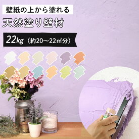 【20日はP4倍!】＼着後レビューで300円OFFクーポン！／ 壁紙の上からそのまま塗れる 天然系素材のDIY用 塗り壁材ひとりで塗れるもん 22kg 練済み