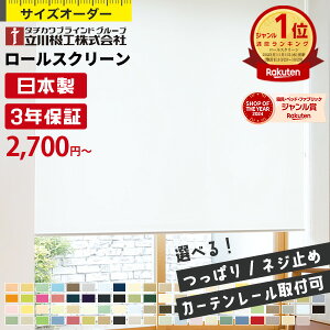 ＼楽天1位★カーテンレール・つっぱり取付可・賃貸OK／ ロールスクリーン ロールカーテン オーダー 遮熱 UVカット 防