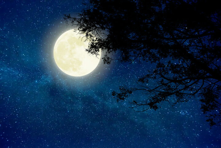 楽天市場 オーダー壁紙 インスタ映え 壁紙 写真 おしゃれ 大正ロマン 和風 月 夜 星空 綺麗 貼りやすい 背景 フォト カフェ レトロ デザイン 防カビ 日本製 国産 リメイク 模様替え 店舗 飲食 部屋 和室 寝室 風景 景色 かべがみはるこ かべがみはるこの壁紙工場