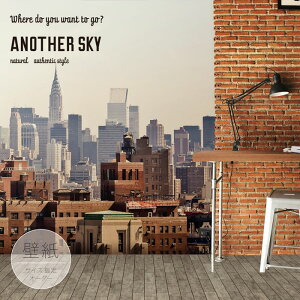 yI[_[ǎz ǎ ʐ^  X s K Be[W ubN JtF \₷ tHg hJr { Y CN ͗lւ X JtF  Q rO gC 