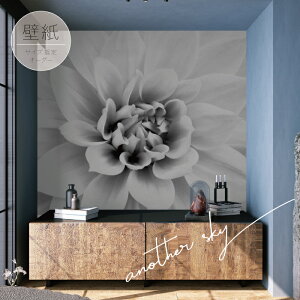 yI[_[ǎz ǎ ʐ^   t[ mN JWA _  \₷ tHg wi fUC hJr { Y CN ͗lւ X JtF  Q 