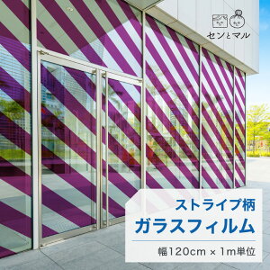 【120cm巾 × 1m単位 切り売り】ガラスフィルム 窓 ストライプ柄 斜め パープル 目隠しシート おしゃれ シンプル 水で貼れる 貼ってはがせる 日本製 透明 すりガラス調 ガラスシート 色付き 装