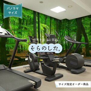 【オーダー壁紙】 壁紙 ジャングル 森 森林 おしゃれ 写真 パノラマ 自然 癒し 貼りやすい デザイン 防カビ 日本製 国産 リメイク 模様替え 店舗 部屋 寝室 キッチン リビング トイレ 美しい