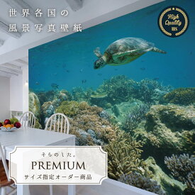 楽天市場 部屋 海の中の通販