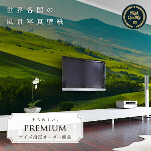 yI[_[ǎz ǎ ʐ^ C^A  u 쌴 Jg[ JI  Y R  \₷ hJr { Y CN ͗lւ X  Q rO gC i iF