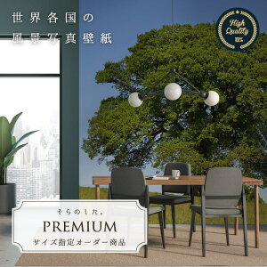 yI[_[ǎz ǎ ʐ^ CMX     I[N   Y R JI  \₷ hJr { Y CN ͗lւ X  Q rO gC i 