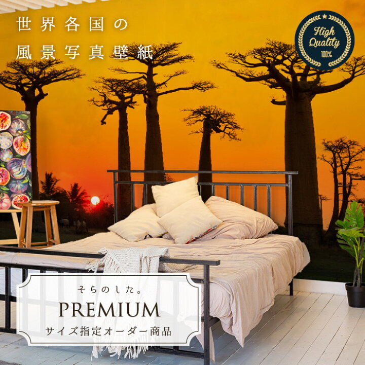 楽天市場 期間限定sale オーダー壁紙 壁紙 写真 アフリカ バオバブ 木 空 夕日 樹木 影 おしゃれ 綺麗 自然 開放的 癒し 貼りやすい 防カビ 日本製 国産 リメイク 模様替え 店舗 内装 部屋 寝室 キッチン リビング トイレ 風景 景色 かべがみはるこ そらのした
