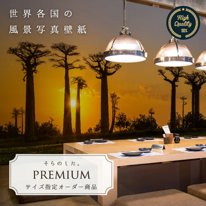 楽天市場 期間限定sale オーダー壁紙 壁紙 写真 アフリカ バオバブ 木 空 夕日 樹木 影 おしゃれ 綺麗 自然 開放的 癒し 貼りやすい 防カビ 日本製 国産 リメイク 模様替え 店舗 内装 部屋 寝室 キッチン リビング トイレ 風景 景色 かべがみはるこ そらのした
